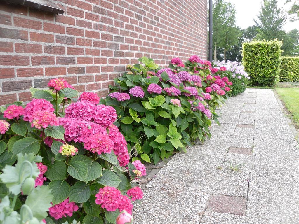 Bed and Breakfast Nicolaashoeve Beemster Noordbeemster Exterior foto